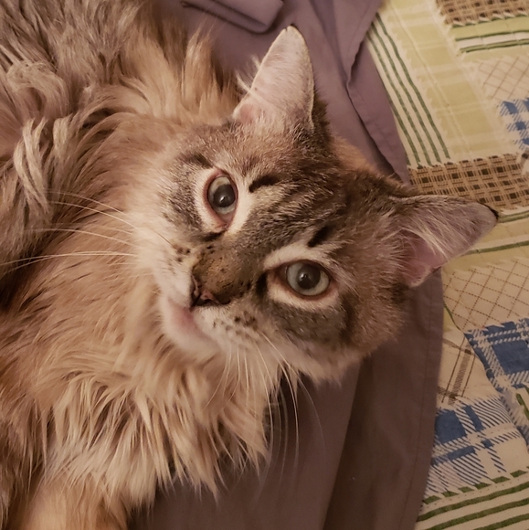 Meet your Posher, Regina - Picture 11 of 13